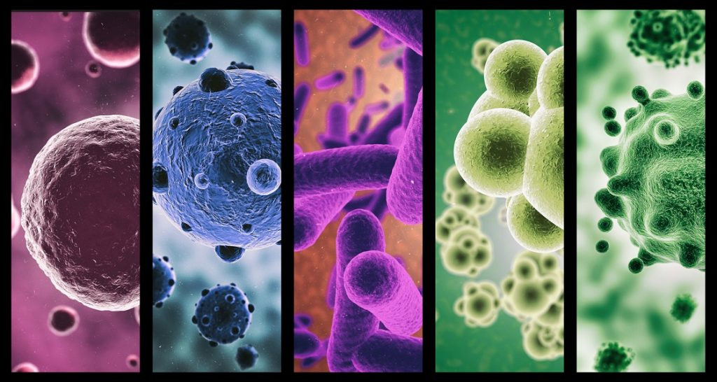 MICROBIOLOGÍA Y PARASITOLOGÍA 2 A